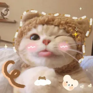 ☺️ cat, animal, cute, kawaii, hat, pet, sticker telegram sticker