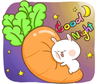 🐽 Good Night królik, marchewka, dobranoc, śpiący, słodki, księżyc, gwiazdy telegram sticker