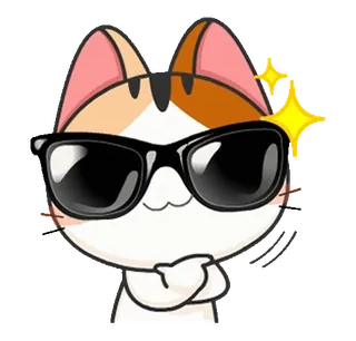 😎 kot, naklejka, okulary przeciwsłoneczne, fajne, kreskówka whatsapp sticker