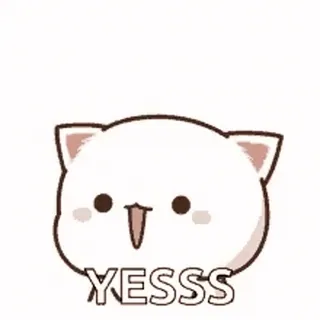 😉 YESSS แมว, มีความสุข, ตื่นเต้น, ใช่, ฉลอง, น่ารัก whatsapp sticker