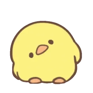 🐰 chicken, cute, animal, yellow, bird, kawaii telegram sticker