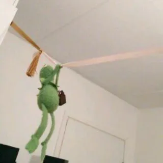 🐸 Kermit Kermit la Rana, Muppet, appeso, divertente, meme, burattino, intrattenimento telegram sticker