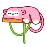 🤩 pink monkey telegram sticker