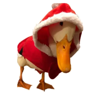🦆 утка, санта клаус, рождество, милый, животное, птица telegram sticker