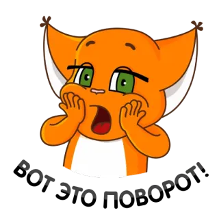 😰 вот это поворот! 고양이, 놀람, 귀여운, 스티커 telegram sticker