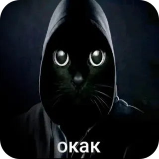 🖼 окак chat, sweat à capuche, mème, russe, drôle, animal telegram sticker