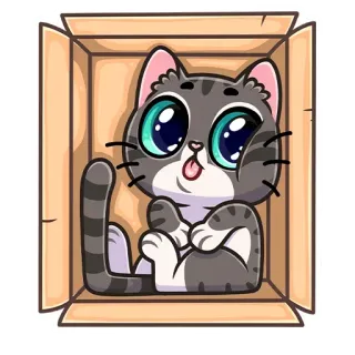 😝 chat, chaton, boîte, mignon, dessin animé, animal, joueur whatsapp sticker