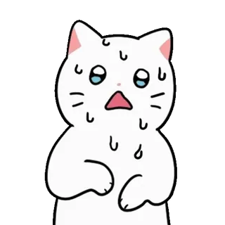 💬 gato, nervioso, sudando, lindo, preocupado, anime, dibujos animados whatsapp sticker