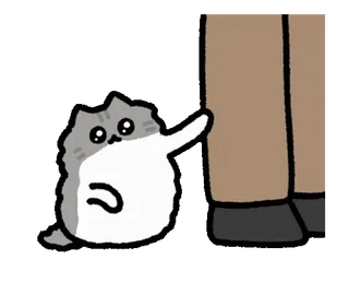 🥺 gato, animal, lindo, pegatina, dibujo animado telegram sticker