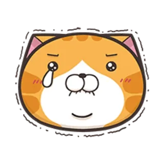 🐵 고양이, 스티커, 울음, 슬픔, 이모티콘, 동물 telegram sticker