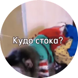 🌟 Кудо стока? Affe, Frage, Russisch, Meme, Humor telegram sticker
