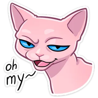 😏 oh my~ 고양이, 스핑크스, 스티커, 동물, 애완동물, 웃긴, 밈 telegram sticker