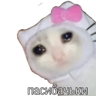 😔 пасибачьки kucing, sedih, Hello Kitty, imut, meme, terima kasih, rusia telegram sticker