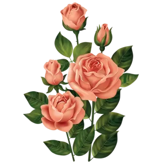 🌏 flowers, roses, peach, bouquet, floral, nature telegram sticker