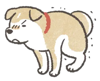 💩 cão, animal, animal de estimação, zangado, desenho animado, ilustração whatsapp sticker