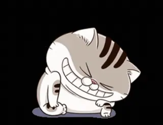 😆 mèo, dễ thương, nhãn dán, động vật, hoạt hình, mèo con whatsapp sticker