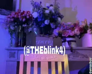 🐿 @THEblink4 インスタグラム, ソーシャルメディア, ユーザー名 telegram sticker