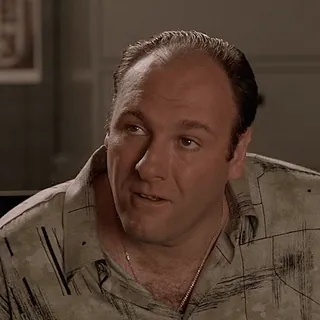 😧 Tony Soprano The Sopranos telegram sticker