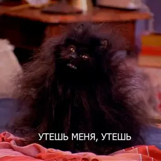 😔 УТЕШЬ МЕНЯ, УТЕШЬ cat, black cat, comfort, sad, depressed telegram sticker
