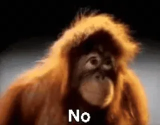 ๐ฆง No orangutan, monkey, ape, animal, zoo, cute, meme telegram sticker