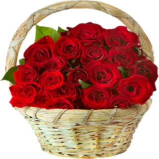 💐 цветы, розы, корзина, красный, букет whatsapp sticker