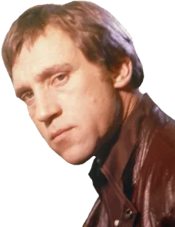 😠 personne, homme, portrait, photo d'identité, visage telegram sticker