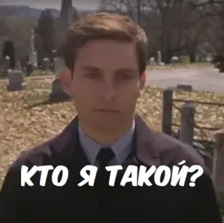 ❓ Peter Parker Spider-Man КТО Я ТАКОЙ? spider-man, peter parker, movie, identity, who am i, tobey maguire telegram sticker