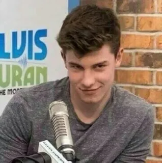 😏 Shawn Mendes singer, celebrity, male, portrait, radio, microphone, entertainer telegram sticker