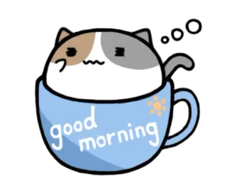 🌝 good morning gato, manhã, xícara, bom dia, animal, kawaii, fofo telegram sticker
