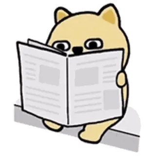 💬 animal, leyendo, periódico, lindo, pegatina telegram sticker