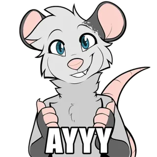 👍 AYYY opossum, opossum, cartone animato, carino, animale, pollice in su, grigio telegram sticker