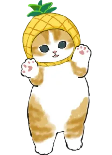 🍍 cat, pineapple, cute, animal, sticker telegram sticker
