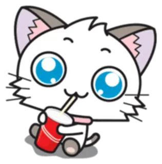 🥤 cat, kitten, cartoon, cute, drink, soda whatsapp sticker