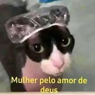 🧖 Mulher pelo amor de deus chat, bonnet de douche, drôle, animal telegram sticker