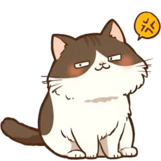 😤 gatto, arrabbiato, animale, adesivo, cartone animato telegram sticker