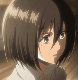 🌿 Mikasa Ackerman Attack on Titan anime, girl, mikasa, attack on titan telegram sticker