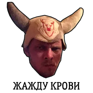 😡 Selfie, Homme, Casque Viking, Portrait, Drôle, Costume telegram sticker