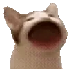 😮