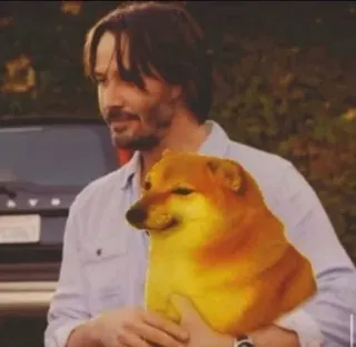 😎 Meme, Doge, Keanu, Reeves, Pies telegram sticker