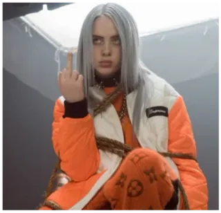 🖕 Billie Eilish 中指, 歌手, 流行明星, 名人, 音乐, 态度 telegram sticker
