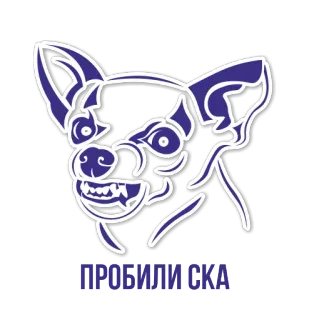 😡 ПРОБИЛИ СКА cão, animal, russo, ska telegram sticker