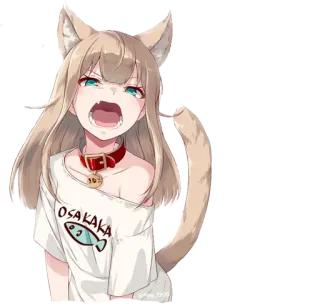 😺 OSAKAKA ragazza gatto, anime, manga, carino, arrabbiato, neko, collare, osaka telegram sticker