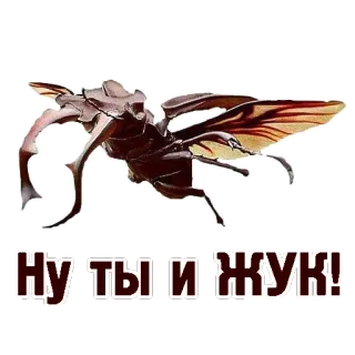 TCA telegram stickers