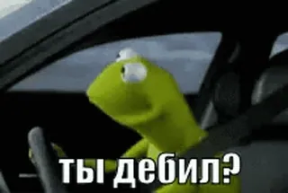 🐸 Kermit ты дебил? Kermit, Meme, Dirigindo, Ofensivo, Insulto, Russo whatsapp sticker