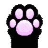 🐾
