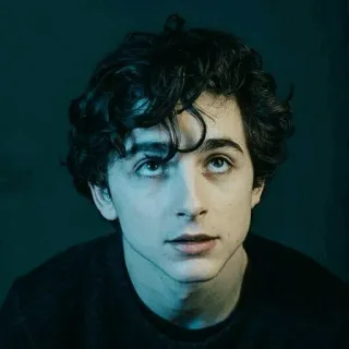🙄 Timothée Chalamet นักแสดง, ภาพเหมือน, คนดัง, ผู้ชาย, คน telegram sticker