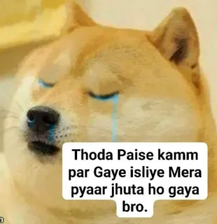 🥲 Doge Doge Meme Thoda Paise kamm par Gaye isliye Mera pyaar jhuta ho gaya bro. doge, sad, crying, meme, money, relatable, love telegram sticker