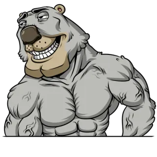 💪 หมี, การ์ตูน, มีกล้าม, สัตว์, ตลก, ตัวละคร, ภาพประกอบ telegram sticker