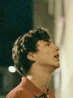 🖤 Timothée Chalamet actor, portrait, man, celebrity telegram sticker