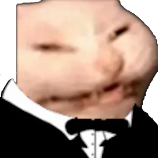 🤵 gatto, smoking, meme, divertente, animale telegram sticker